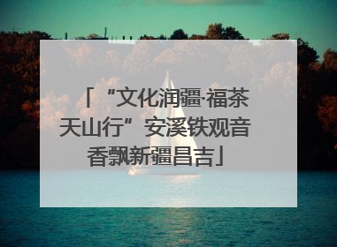 “文化润疆·福茶天山行”安溪铁观音香飘新疆昌吉